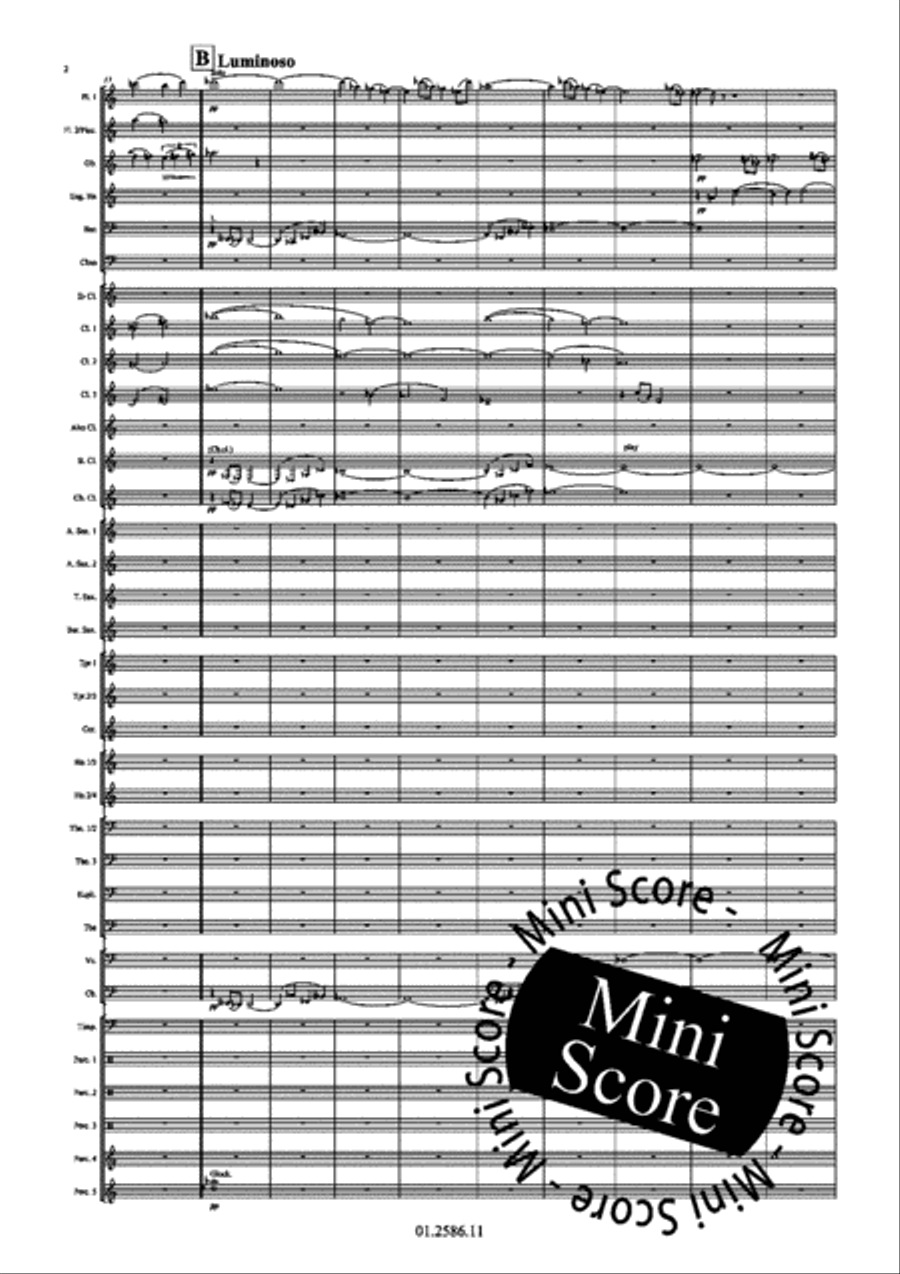 Skies Concert Band scores gallery preview page 10