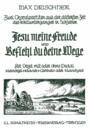 Book cover for Zwei Choralpartiten