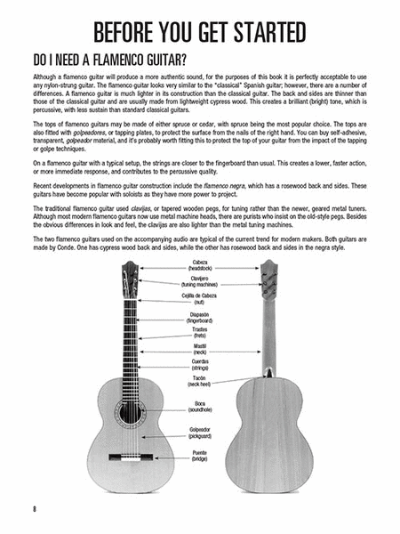 Hal Leonard Flamenco Guitar Method image number null