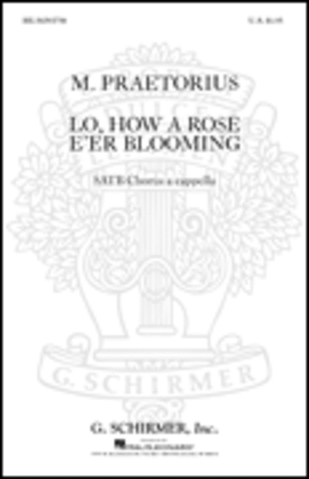 Lo How A Rose E