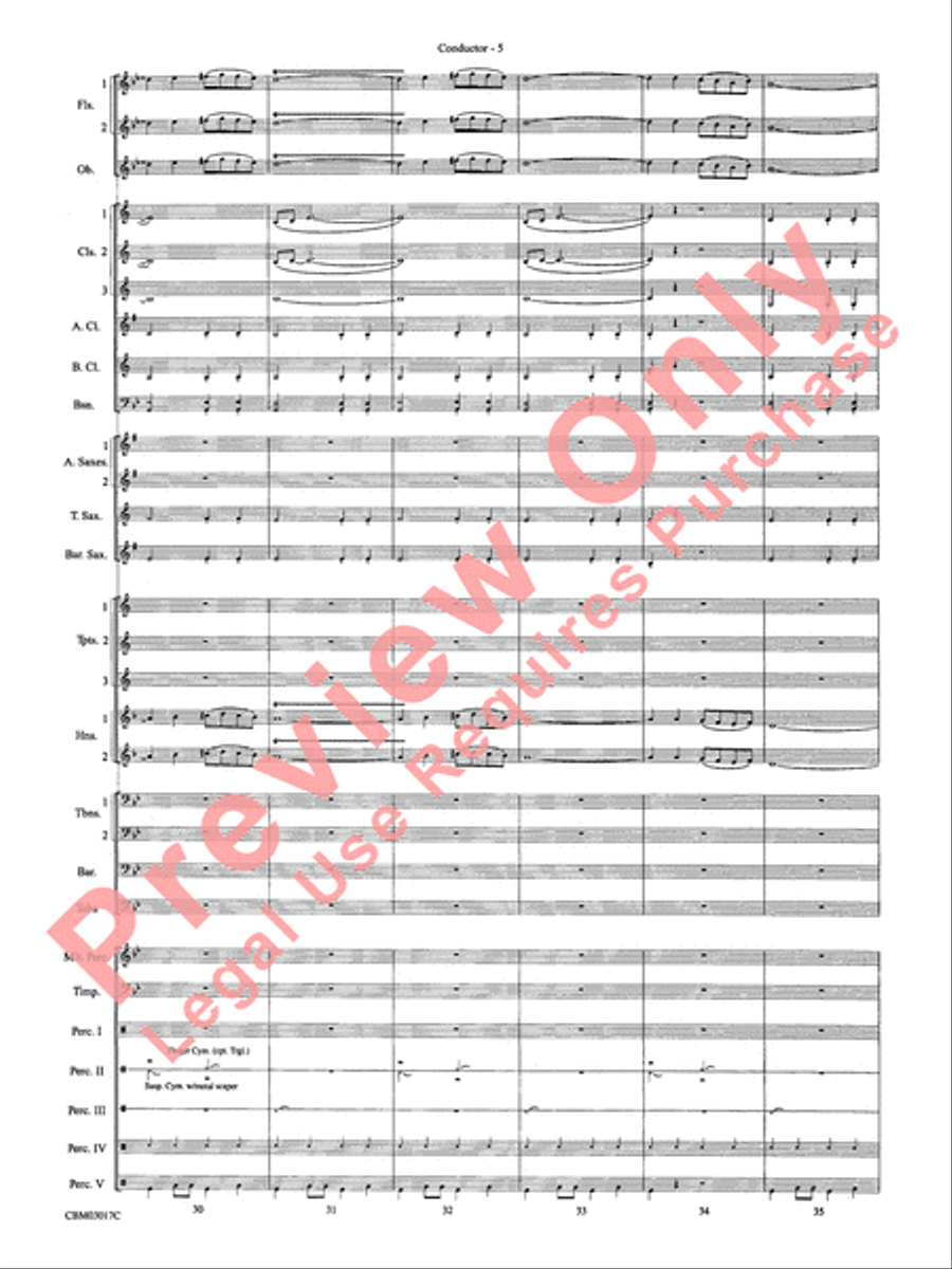 Happy Birthday Around the World Concert Band scores gallery preview page 8