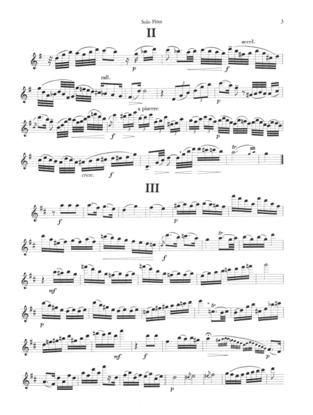 Cadenzas for Mozart's flute concertos G major KV 313 and D major KV 314