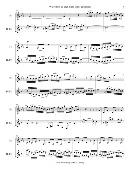 Was willst du dich mein Geist entsetzen? from Cantata BWV 8, Liebster Gott, wann werd ich sterben