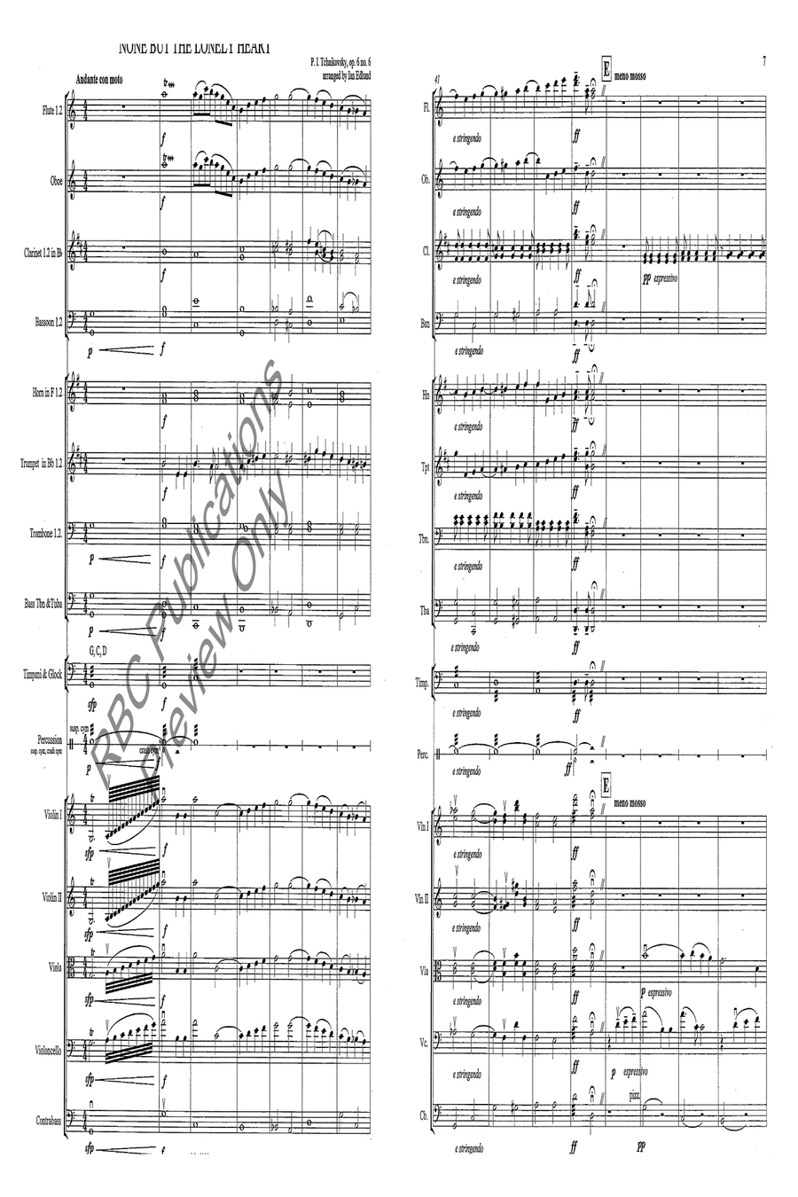 None But The Lonely Heart Full Orchestra scores gallery preview page 3