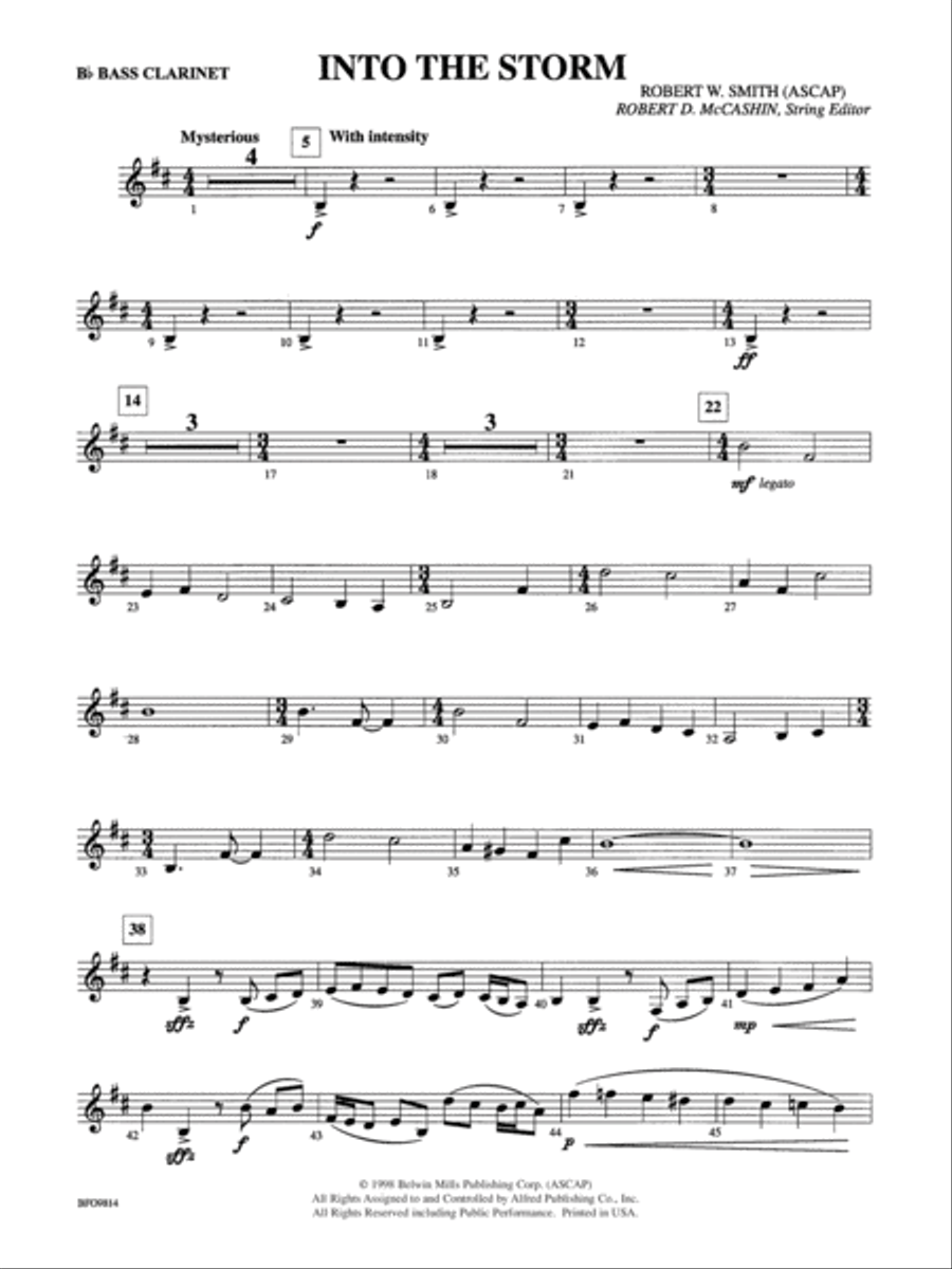 Into the Storm: B-flat Bass Clarinet Full Orchestra scores gallery preview page 1