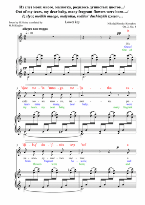 Rimsky-Korsakov "Echo" Op. 45 No 1 Lower key DICTION SCORE with IPA & translation