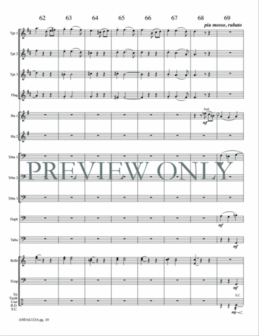 Andaluza Small Ensemble scores gallery preview page 12