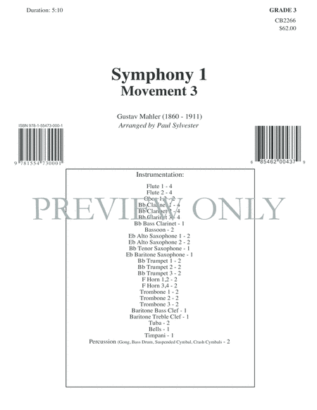 Symphony 1 (Movement 3)