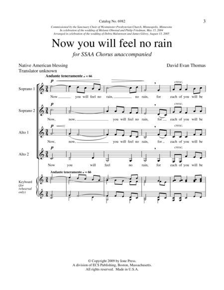 Now You Will Feel No Rain