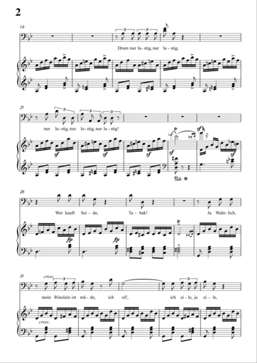 Schumann-Der Kontrabandiste in g minor for Voice and Piano Voice Solo scores gallery preview page 3