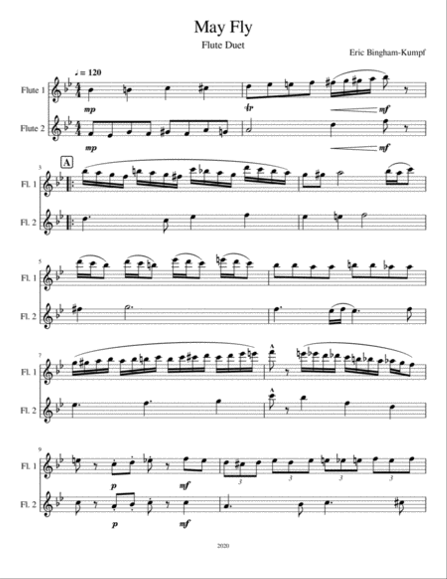 May Fly Flute Duet scores gallery preview page 1