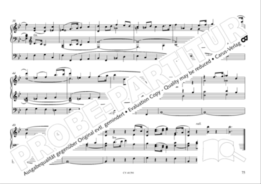 Free Organ Music from the Romantic Period, Vol. III (Freie Orgelmusik der Romantik, Band III) Organ scores gallery preview page 76