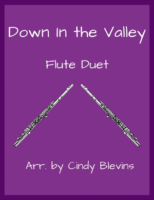Book cover for Down In The Valley, Flute Duet