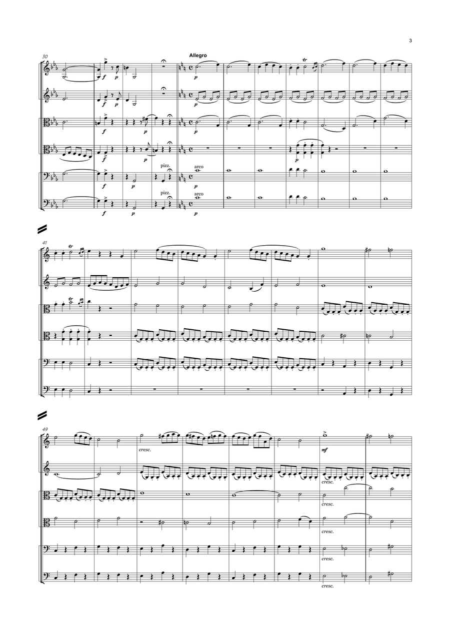 Mendelssohn - String Symphony No.9 in C major, MWV N 9 String Orchestra scores gallery preview page 3