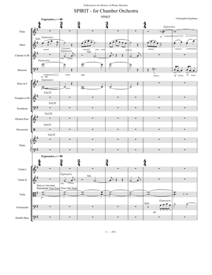 SPIRIT - Chamber Orchestra (Score and Parts) image number null