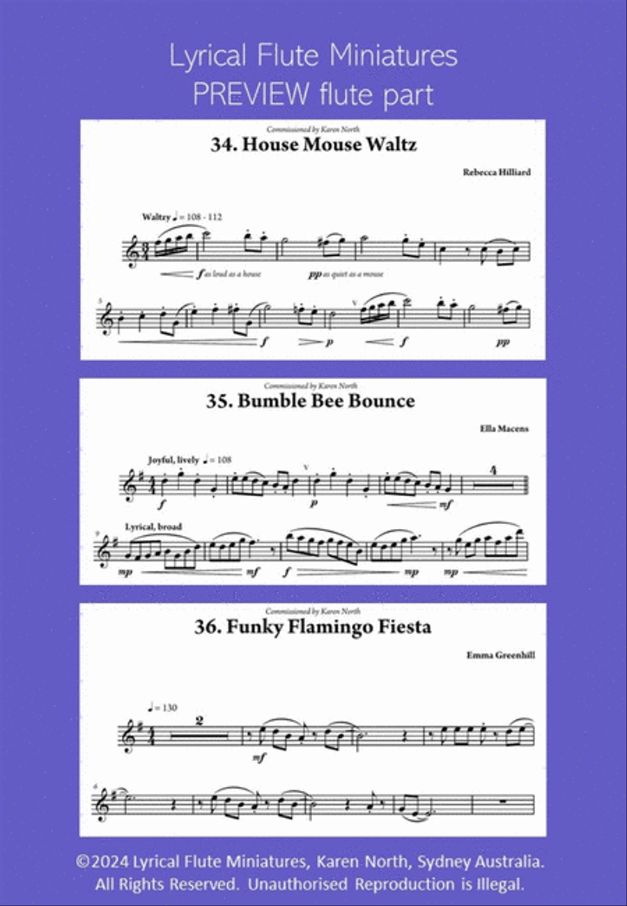 Lyrical Flute Miniatures Chamber Music scores gallery preview page 2