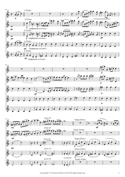 George Gershwin Prelude No 2 Flute Choir 4 Concert C Flutes 1 Piccolo Andante con moto e poco rubato image number null