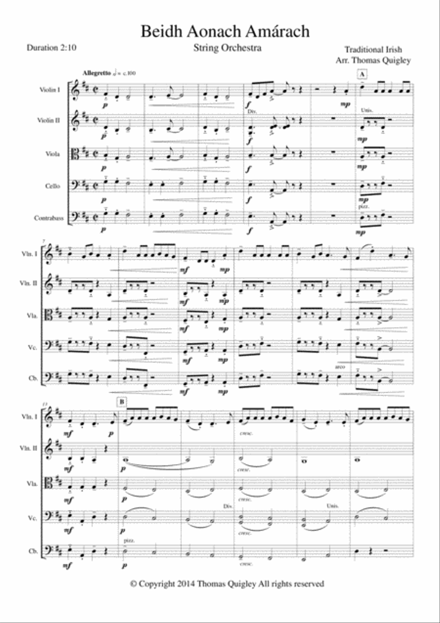 Beidh Aonach Amárach String Orchestra scores gallery preview page 1
