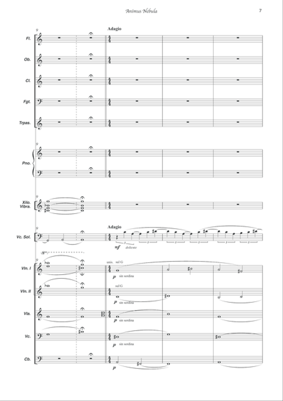 Animus Nebula Animus Nebula Orchestra scores gallery preview page 4