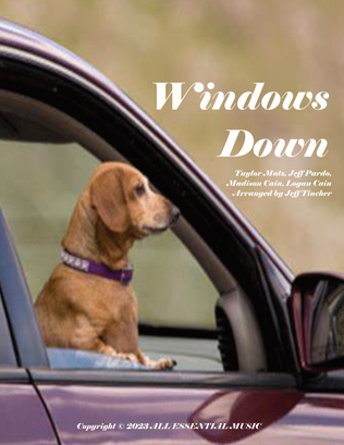 Book cover for Windows Down