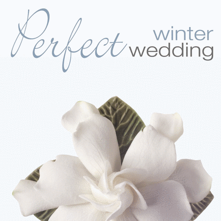 Perfect Winter Wedding image number null