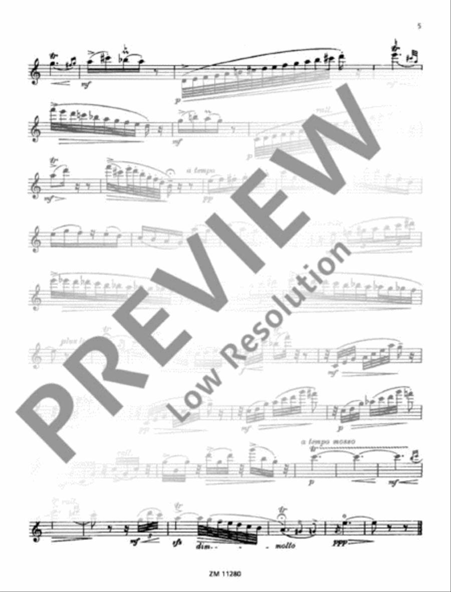 The Nightingale Flute scores gallery preview page 16