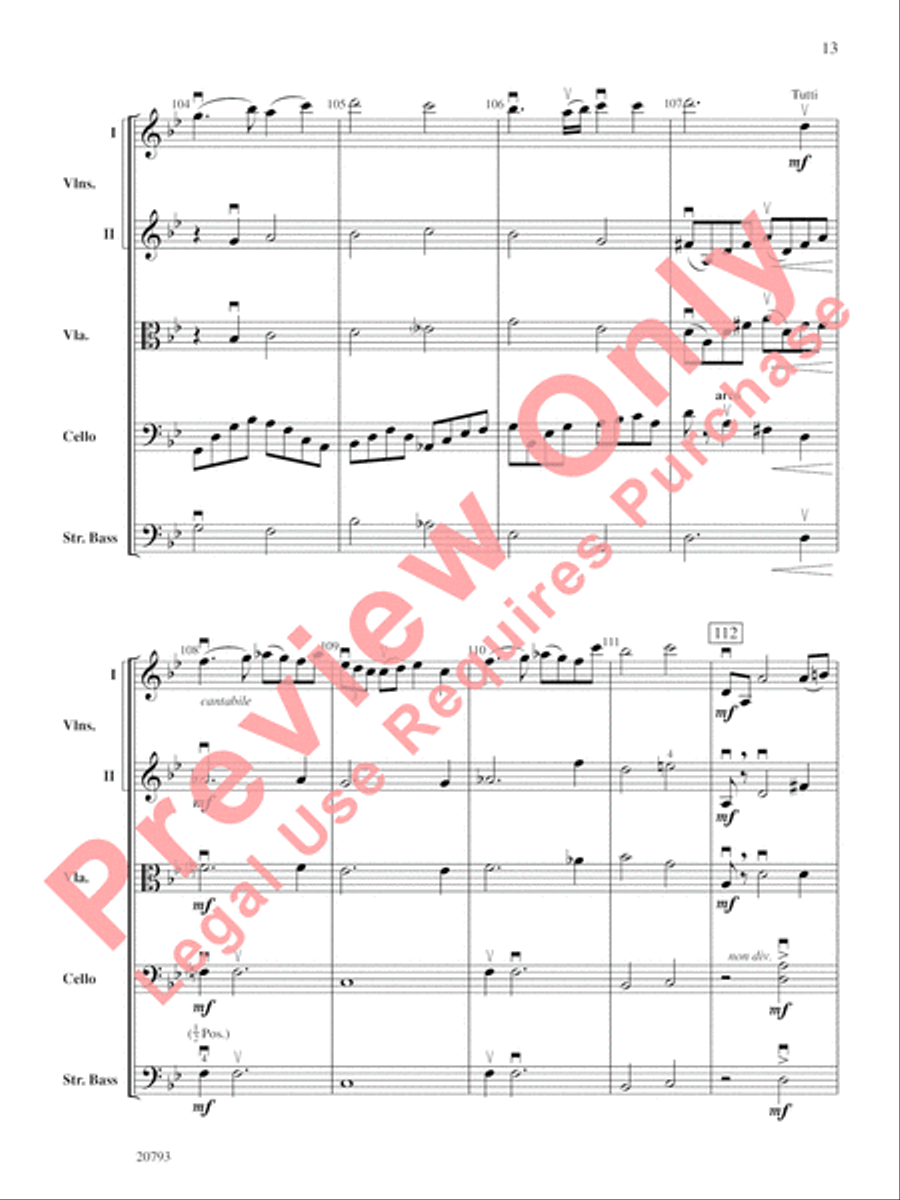 The Idylls of Pegasus String Orchestra scores gallery preview page 14