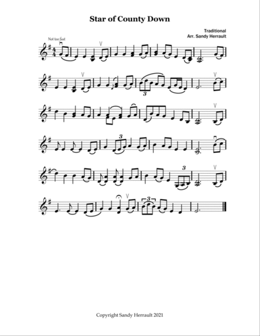 Irish Songs for Solo Violin Violin Solo scores gallery preview page 3