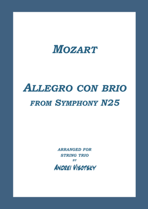 Book cover for Allegro con brio from Symphony N25