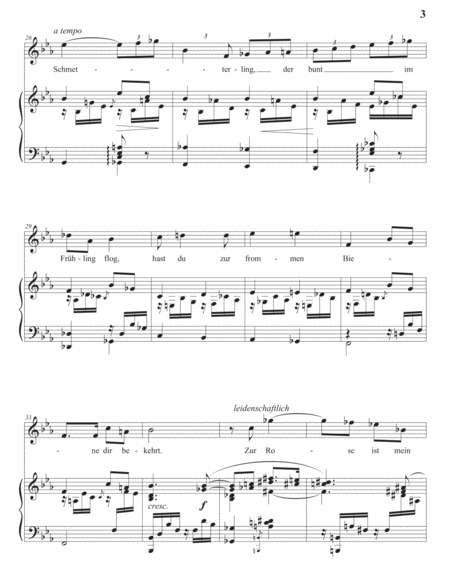 STRAUSS: Als mir dein Lied erklang, Op. 68 no. 4 (transposed to E-flat major)
