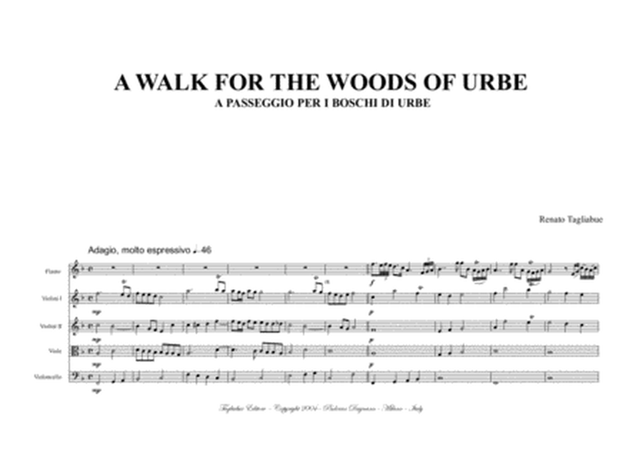 A WALK FOR THE WOODS OF URBE (A passeggio per i boschi di Urbe) - by R. Tagliabue - For Ob, Fl, Stri image number null