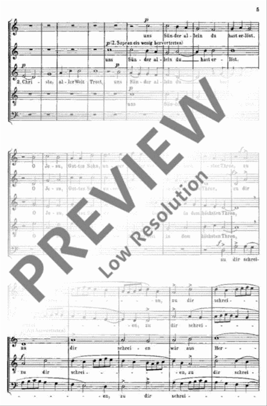 Eine deutsche Liedmesse SSATB scores gallery preview page 6