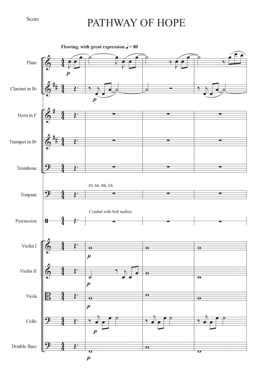 Pathway Of Hope - Score Only Chamber Music scores gallery preview page 1