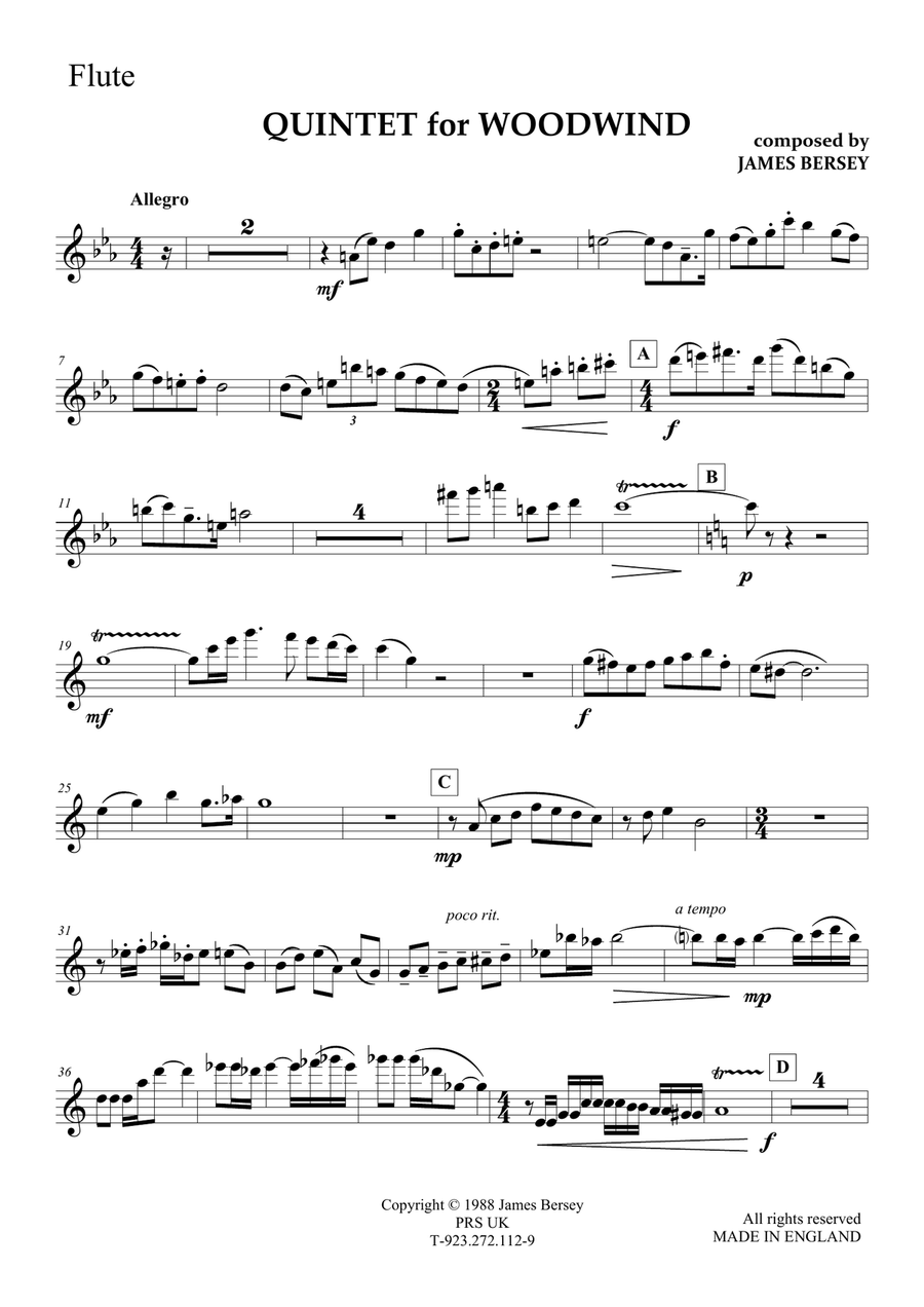 Wind Quintet in Eb Woodwind Quintet scores gallery preview page 3