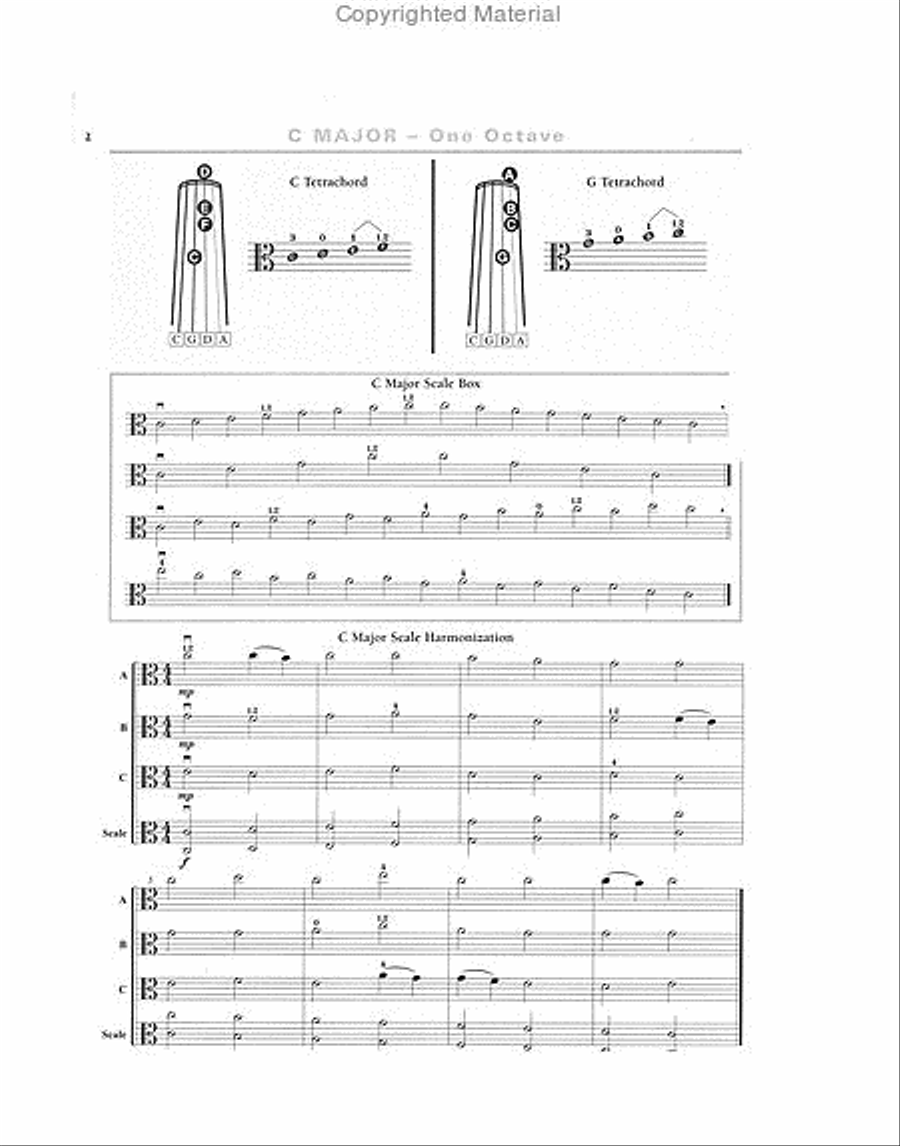 A Scale in Time, Viola Chamber Orchestra scores gallery preview page 2