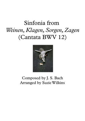 Book cover for Sinfonia from Weinen, Klagen, Sorgen, Zagen (BWV 12)