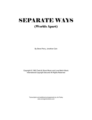 Book cover for Separate Ways (worlds Apart)