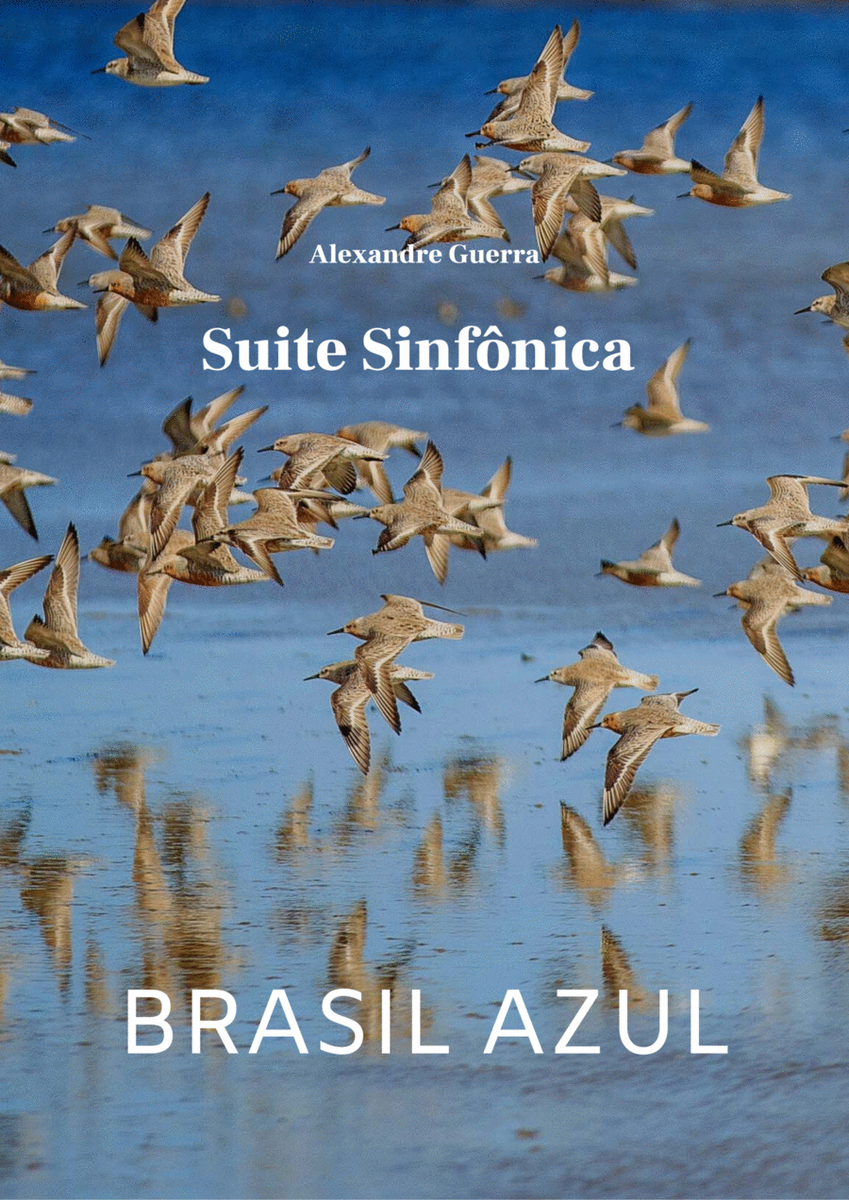 Brasil Azul - Suite Sinfônica image number null