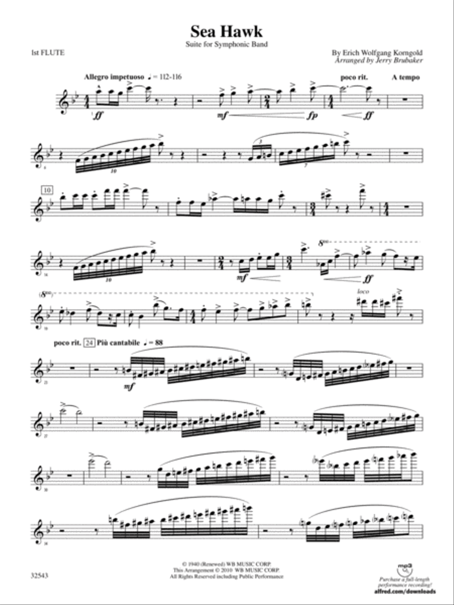 Sea Hawk: Flute Sea Hawk: Flute Concert Band scores gallery preview page 1