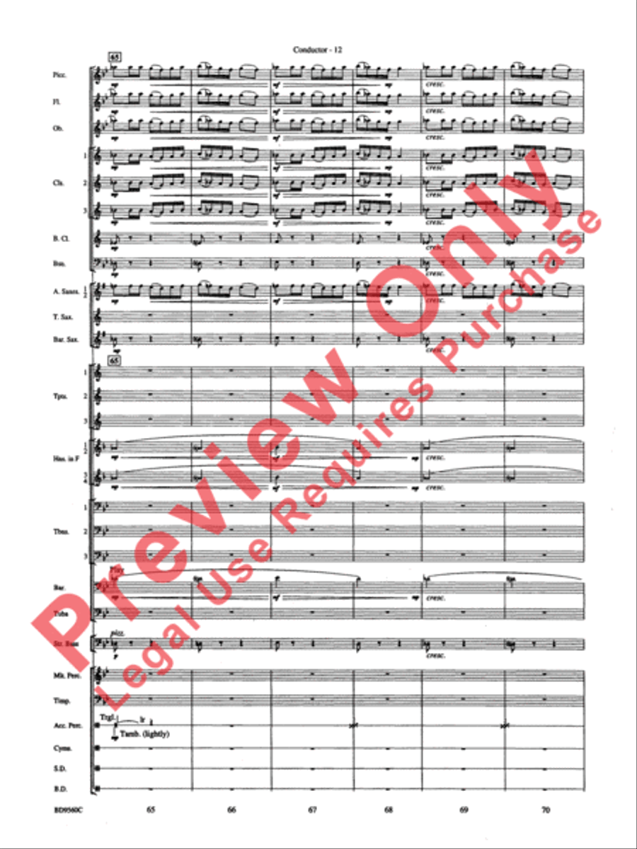 Waterdance Concert Band scores gallery preview page 14