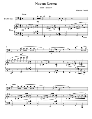 Book cover for Giacomo Puccini - Nessun Dorma - Turandot (Double Bass Solo)