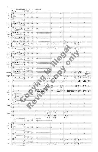 Southern Exposure (Additional Orchestra Score)