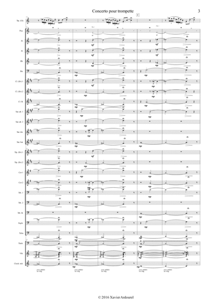 Concerto pour trompette 2ème mvt - Trumpet concerto 2 mvt