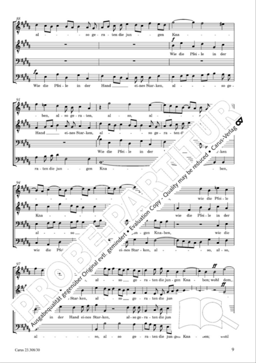 Blessed are all those who fear God (Wohl dem, der den Herren furchtet) SSAATTBB scores gallery preview page 10