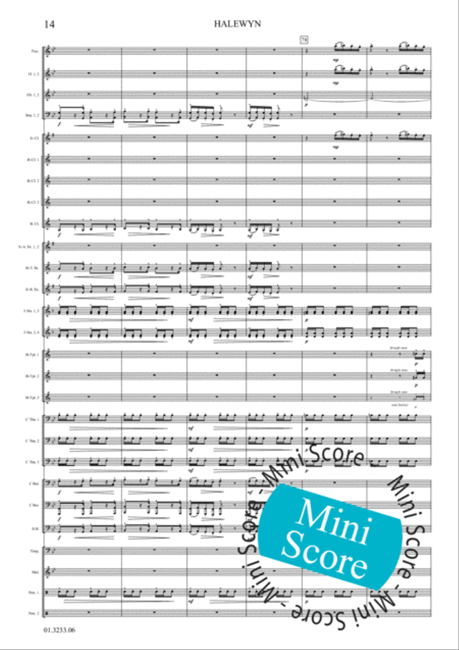 Halewijn Concert Band scores gallery preview page 20