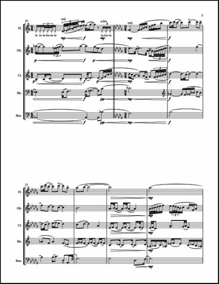 Until Dawn Woodwind Quintet scores gallery preview page 5