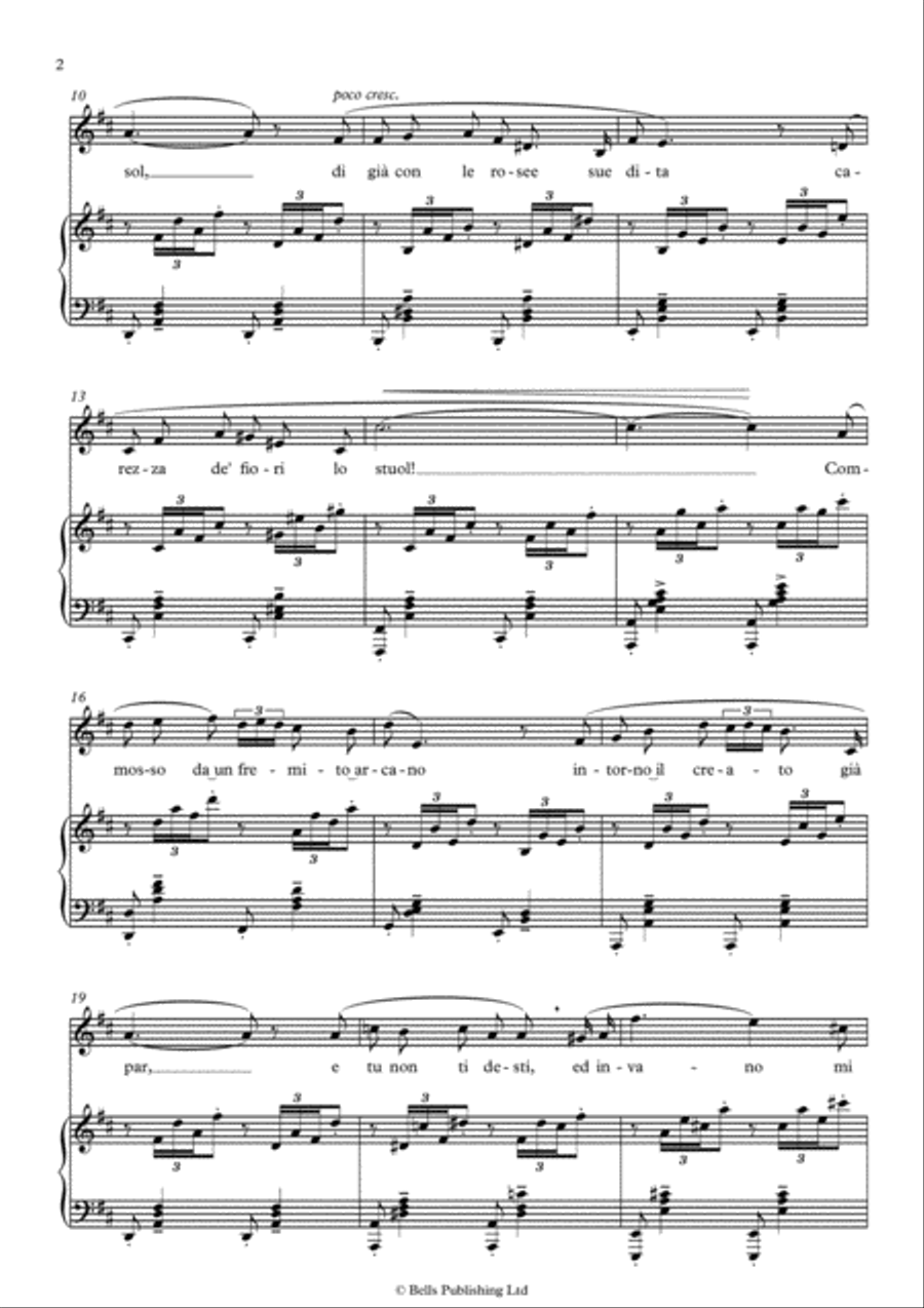 Mattinata (Original key. D Major) Voice Solo scores gallery preview page 2