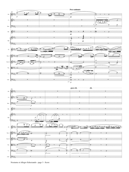 Nocturne et Allegro Scherzando for Flute and Strings