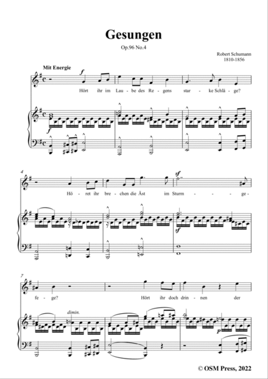 Schumann-Gesungen,Op.96 No.4,in e minor Voice scores gallery preview page 3