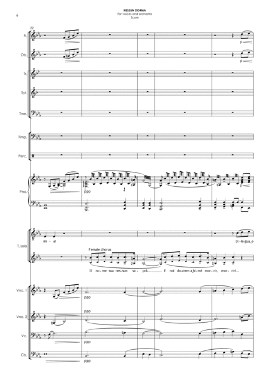 NESSUN DORMA (in Eb) - for voices & orchestra Chamber Orchestra scores gallery preview page 6